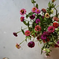 Boheme.（ボエム.）
