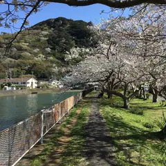 本郷公園