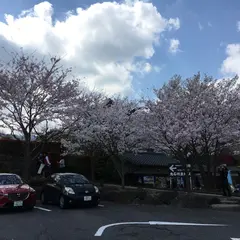 別府地獄めぐり駐車場
