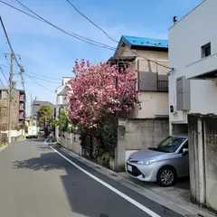 江古田