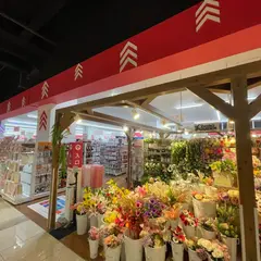 イオンスタイル西風新都
