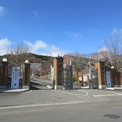 神戸医療未来大学