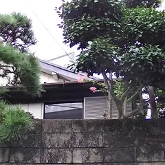 民宿 茶たまご