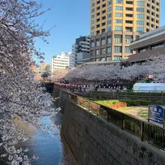 上目黒