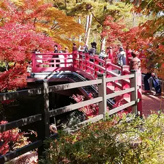 弥彦公園トンネル
