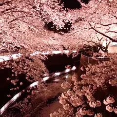 世田谷区