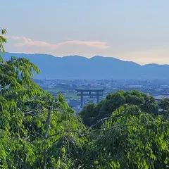 大美和の杜展望台