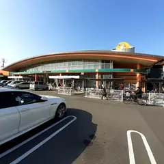 太陽市