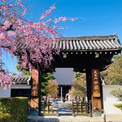 大本山 妙顯寺