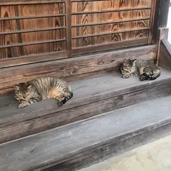 金龍山安立寺