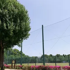 羽根木公園 野球場