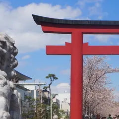 段葛