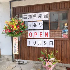 高知四万十うなぎ専門店 才谷や（鰻）