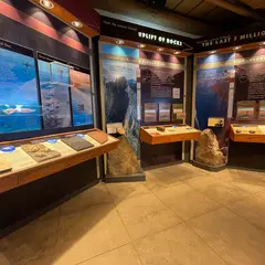 Yavapai Geology Museum