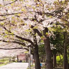 聖路加ガーデン