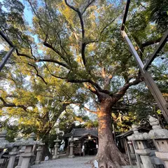 伊久比売神社
