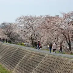 草津川緑地