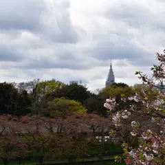 上智大学前　四谷駅までのお濠散歩