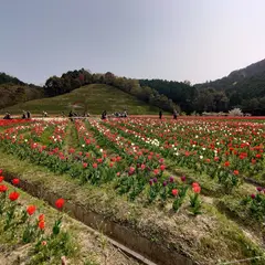 フラワーパーク大洲