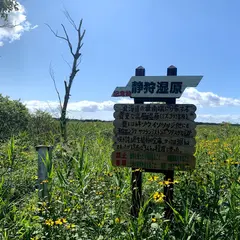 静狩湿原