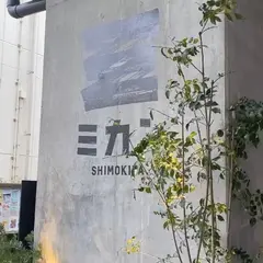 ミカン下北