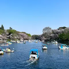 井の頭公園