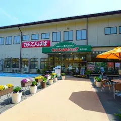 かんてんぱぱショップ 北丘本店