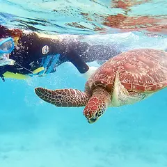 スキンダイビング・シュノーケリング専門店 OCEANZ-オーシャンズ