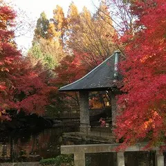 馬橋公園