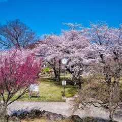 三八城公園