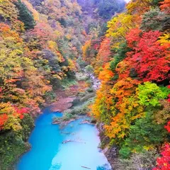 高瀬渓谷