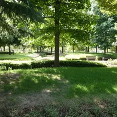 21世紀記念公園麓山の杜