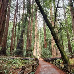 Muir Woods Visitor Center