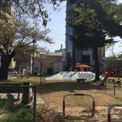 迦毘羅