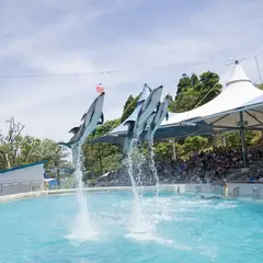 のとじま水族館　