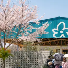 BOTANICAL HOUSE（ボタニカルハウス）