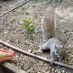 ヴァレンティーノ公園