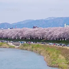 足羽川