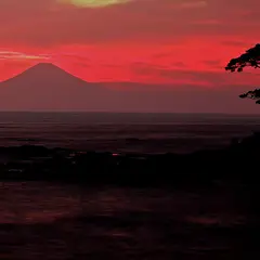 城ヶ島灯台公園