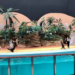 アニマルランド