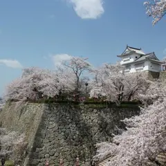津山城 鶴山公園