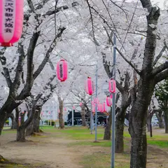 中央公園