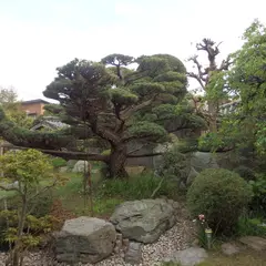 こもれど淡路