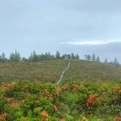 甘利山