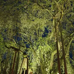 愛宕坂茶道美術館