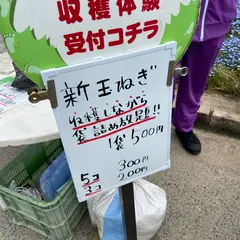 イングランドの丘