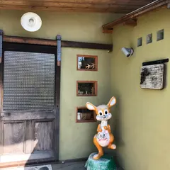 ヤドリギ