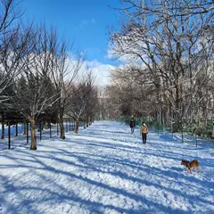 樽川公園 ドッグラン