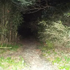 釈迦堂切通