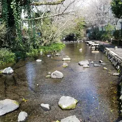 源兵衛川